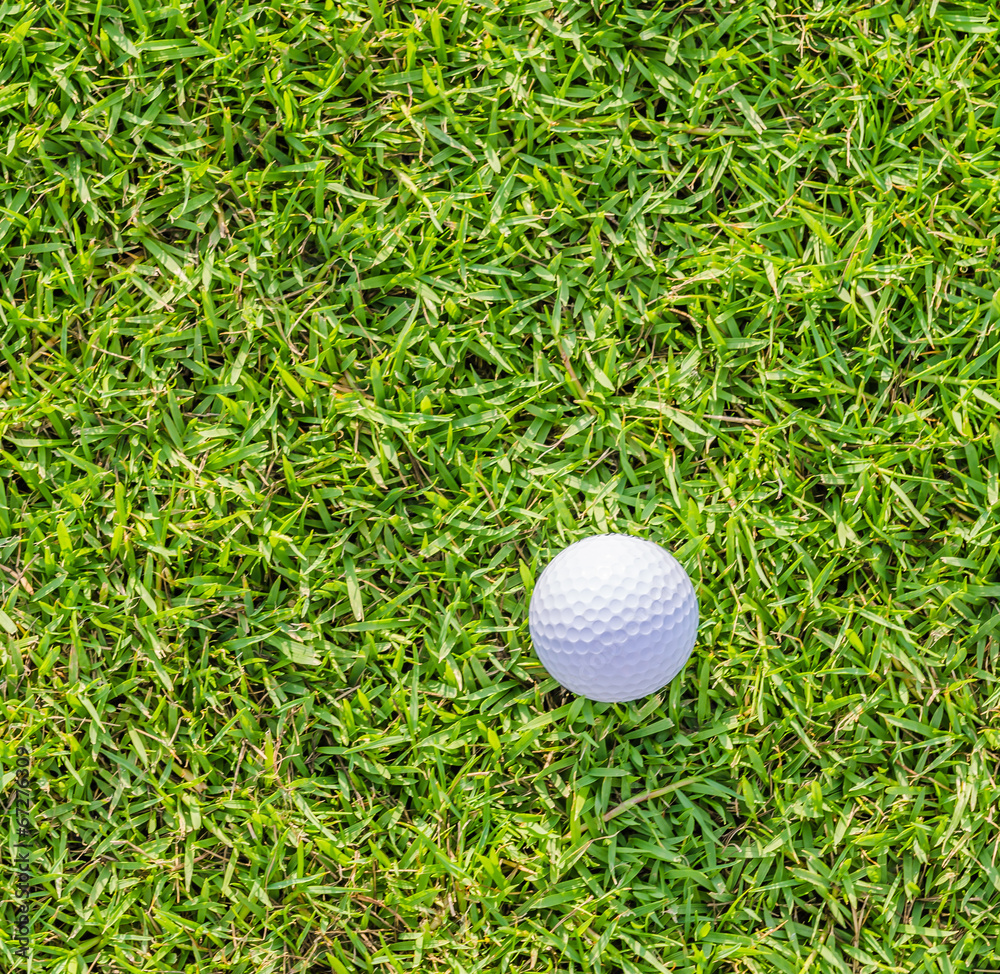 Golf ball on green grass