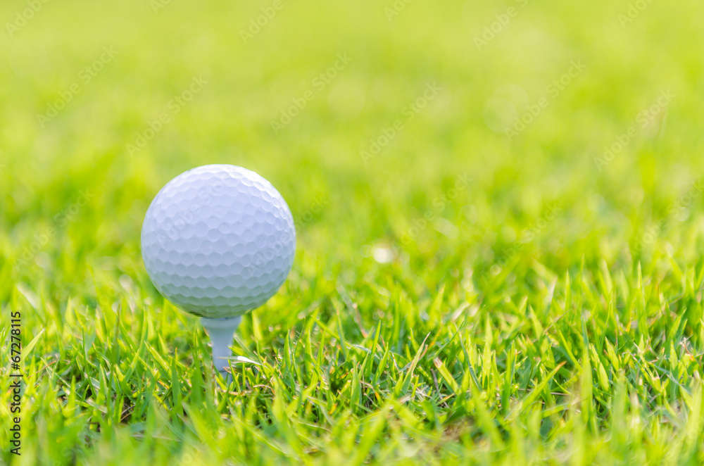 Golf ball on green grass Golf ball on green grass