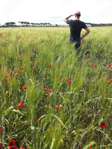 A man in a poppy field