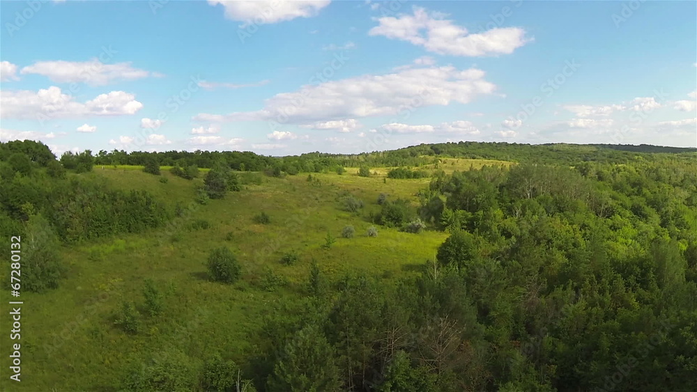 wood on hills .Aerial wood on hills .Aerial