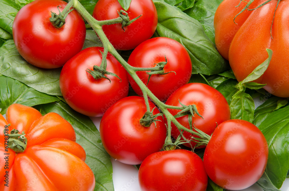Tomatoes on basil Tomatoes on basil