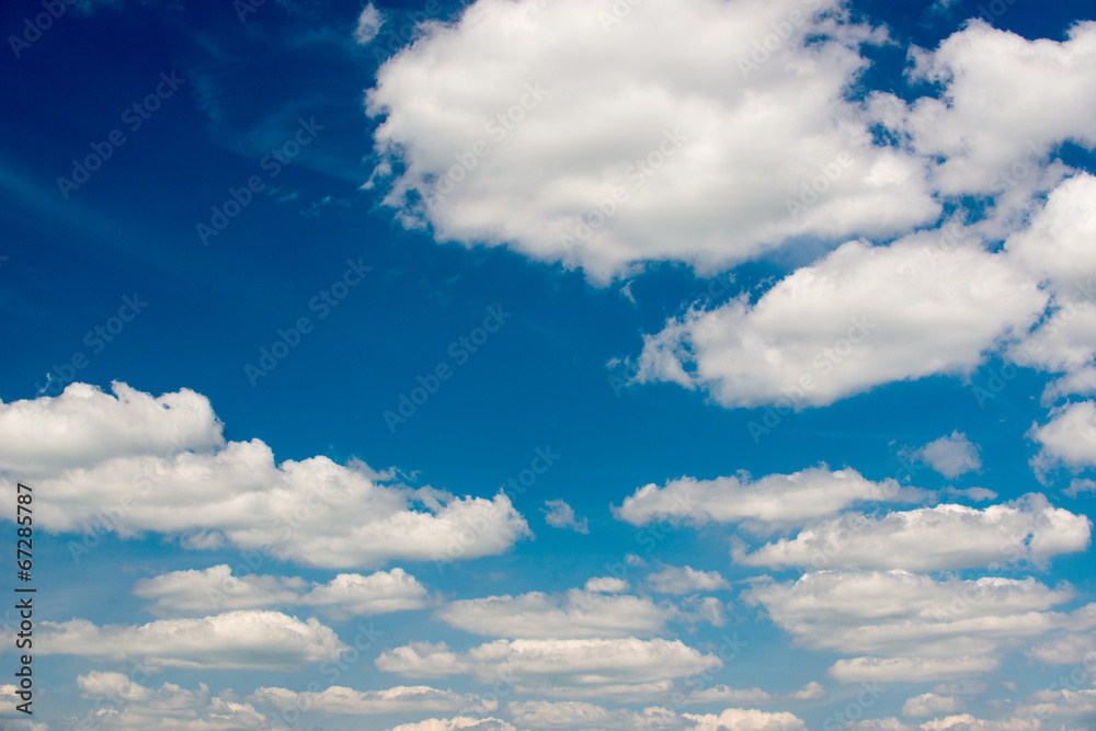 Obraz premium lavender field