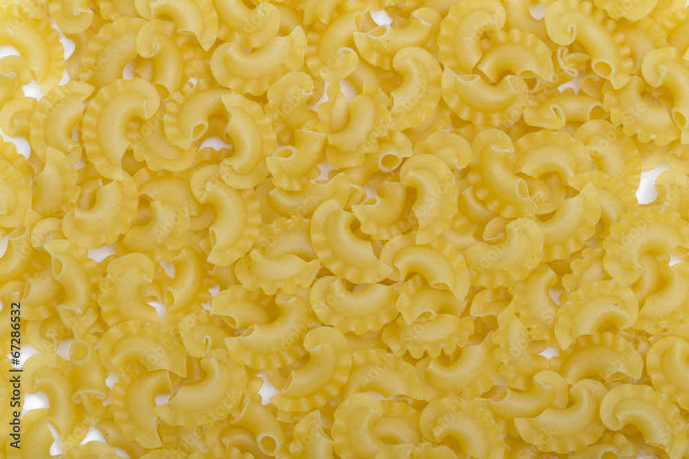 pasta on the white background pasta on the white background