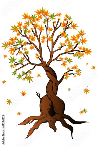 Herbstbaum wirft seine Blätter ab