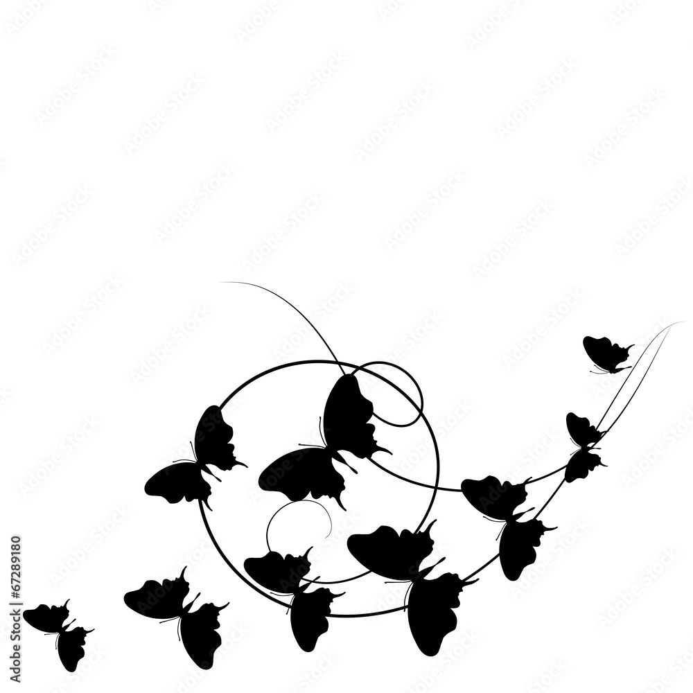 butterflies design butterflies design