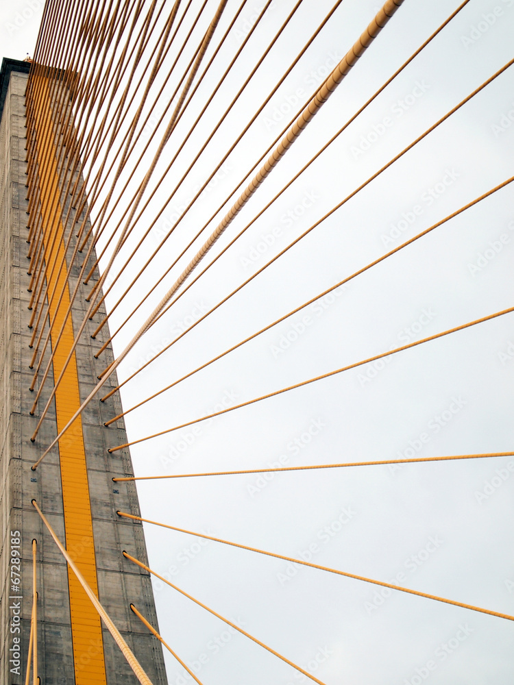 Fototapeta premium The Rama 8 Bridge at daytime in Bangkok, Thailand