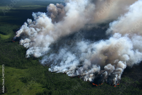 Wildfire in forest, aerial view
