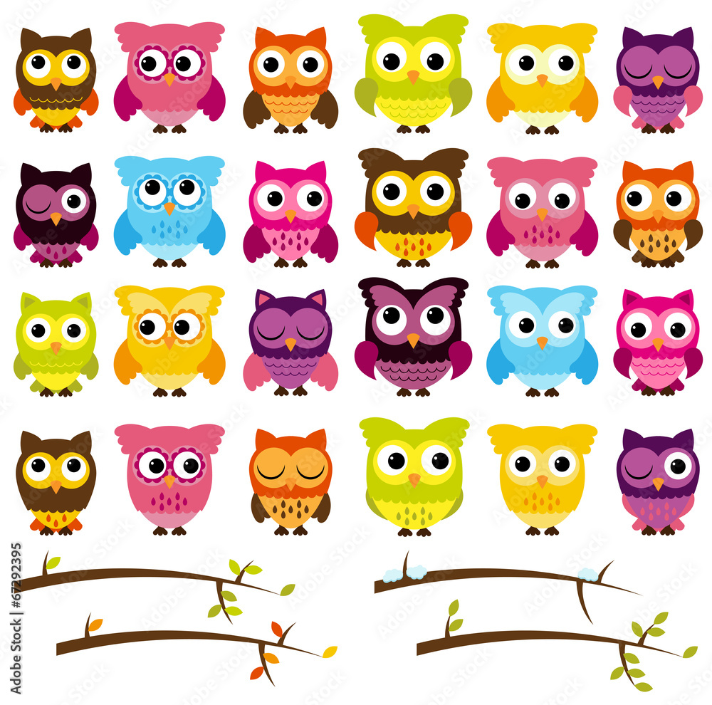 Fototapeta premium Vector Collection of Cute Owls