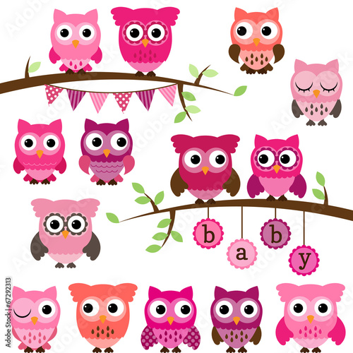 Vector Collection of Girl Baby Shower Themed Owls and Branches 