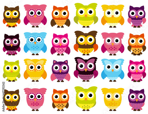 Vector Collection of Cute Owls