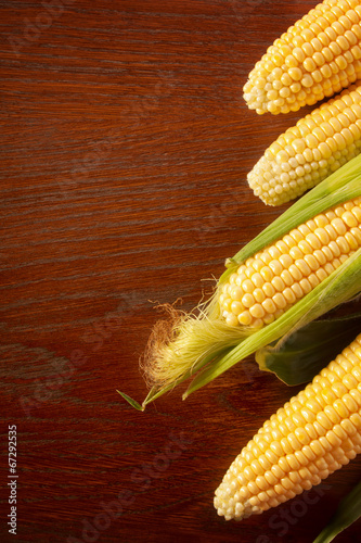 Frame with the maize photo