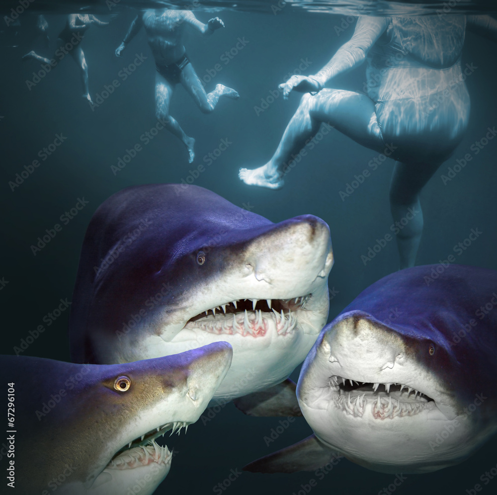 Naklejka premium Three sharks have a fun.