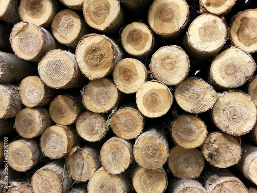 Wood Logs background