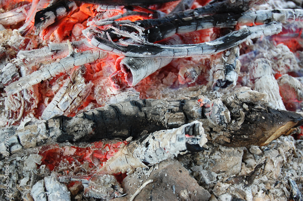 Fototapeta premium Fire