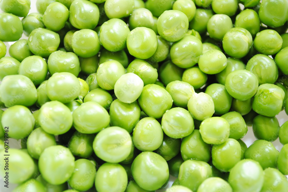 Organic Fresh Green Peas for a Nutritious Background Organic Fresh Green Peas for a Nutritious Background
