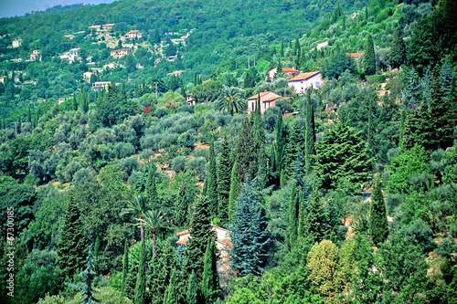 GRASSE  sur la route de CABRIS   06 Alpes maritimes  