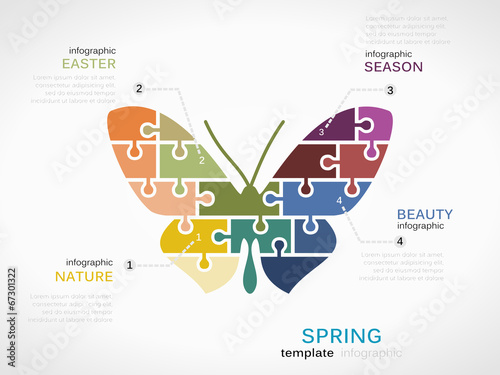 Spring concept infographic template with butterfly
