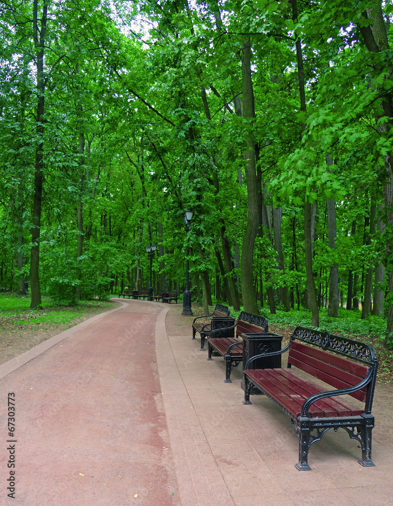 Several benches along a walkway in a summer park