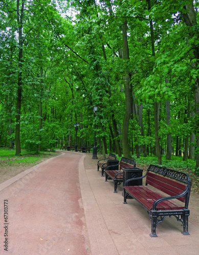 Several benches along a walkway in a summer park © Chiffanna