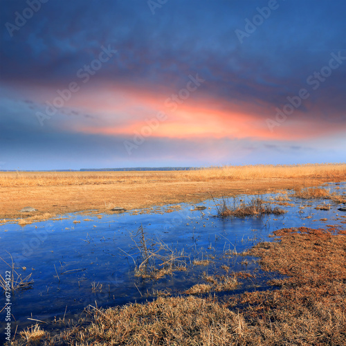 Flooded meadow at the evening