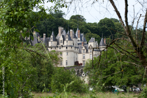Castel of Rigny-Usse . Loire Valley, France photo