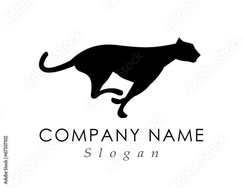 Feline running