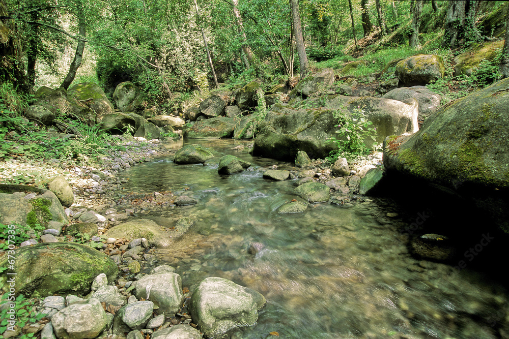 Obraz premium CONTES ( Alpes-Maritimes )