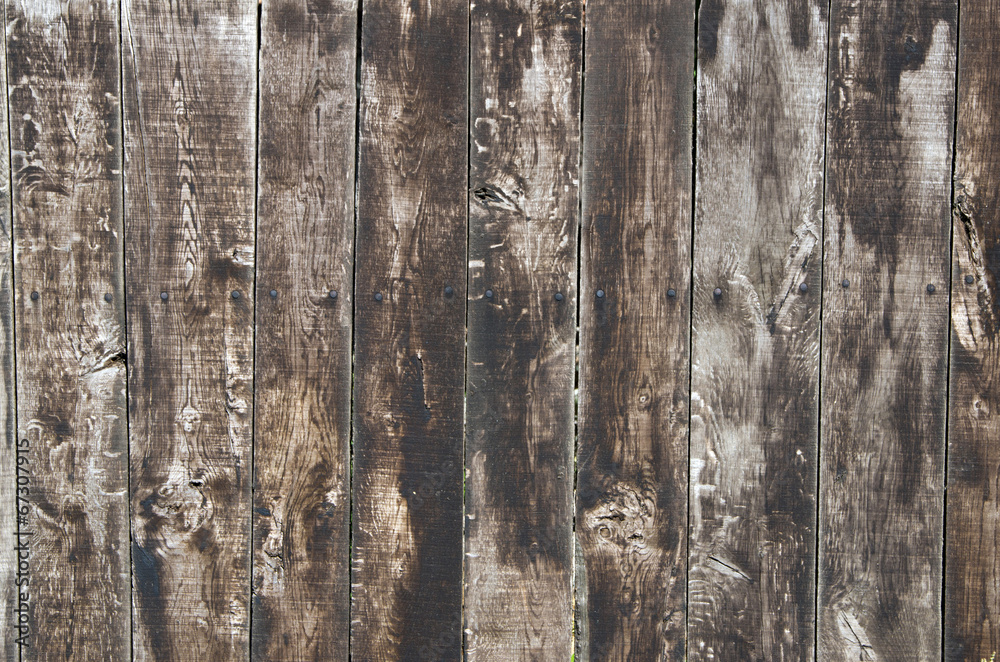 Fototapeta premium wood background