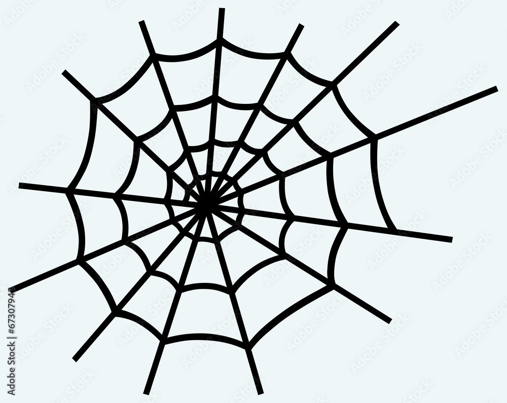 Fototapeta premium Spider net