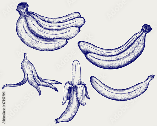 Bunch of bananas, peeled banana and banana peel