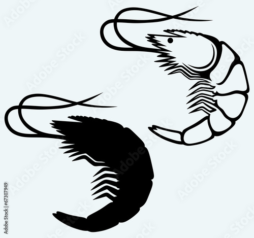 Boiled shrimp