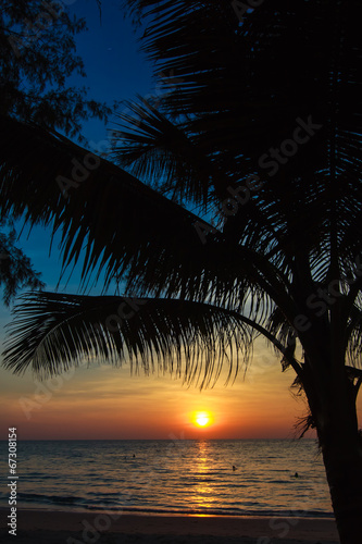 beach in sunset time. palm trees silhouette on sunset tropical