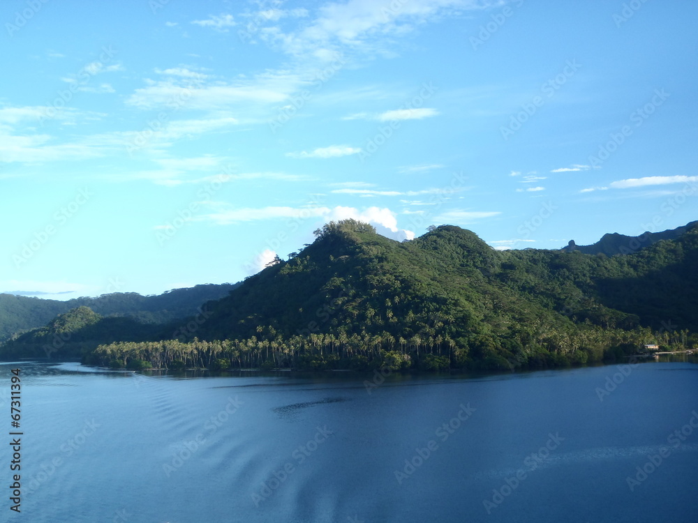 custom made wallpaper toronto digitaltahaa