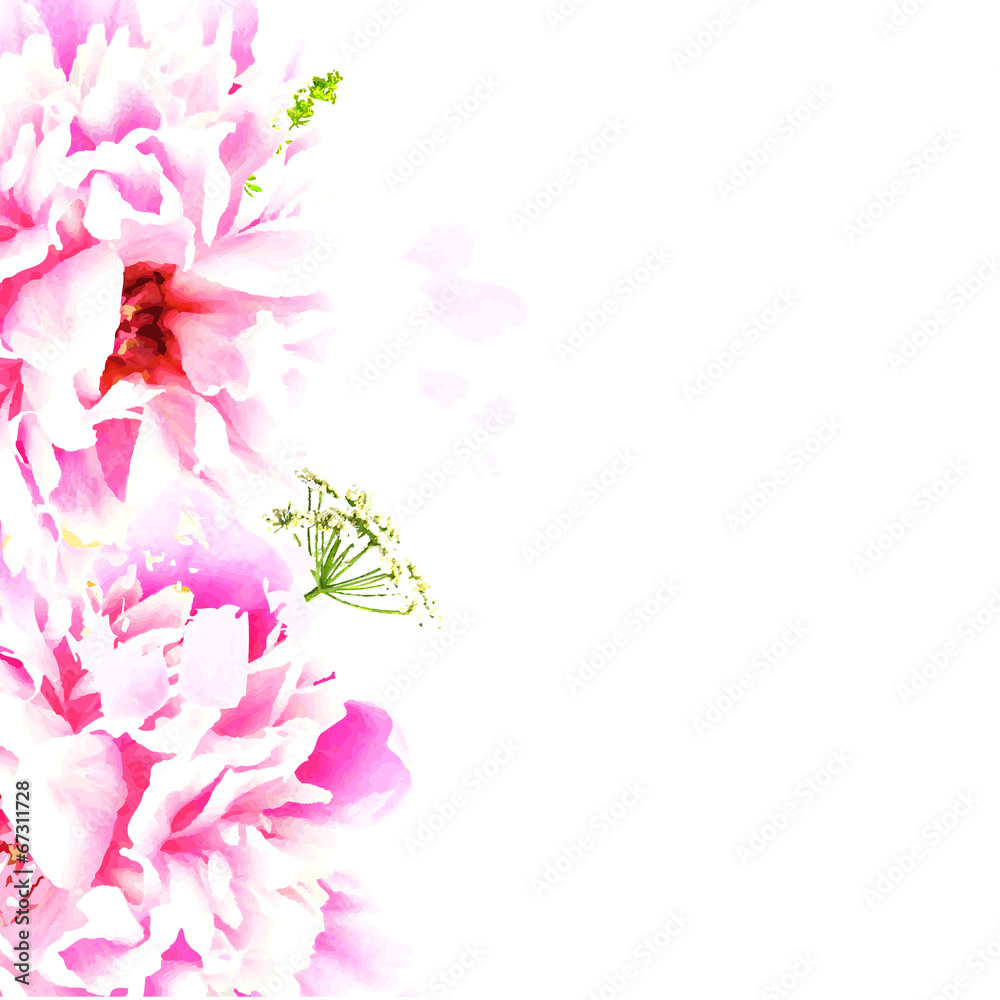 Border With Peony Border With Peony