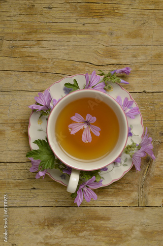 Malva sylvestris Erdei mályva Mallow Grande mauve خبازة برية photo