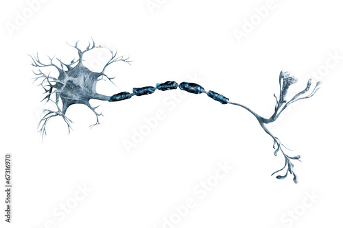 digital illustration neurons