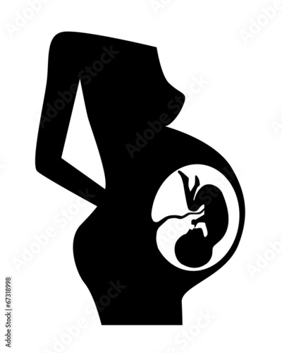 gestation