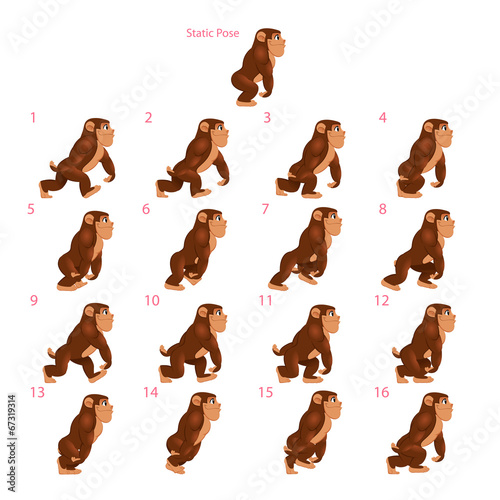 Animation of gorilla walking.