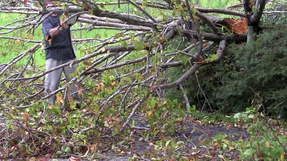Man cutting a storm damaged tree. Man cutting a storm damaged tree.