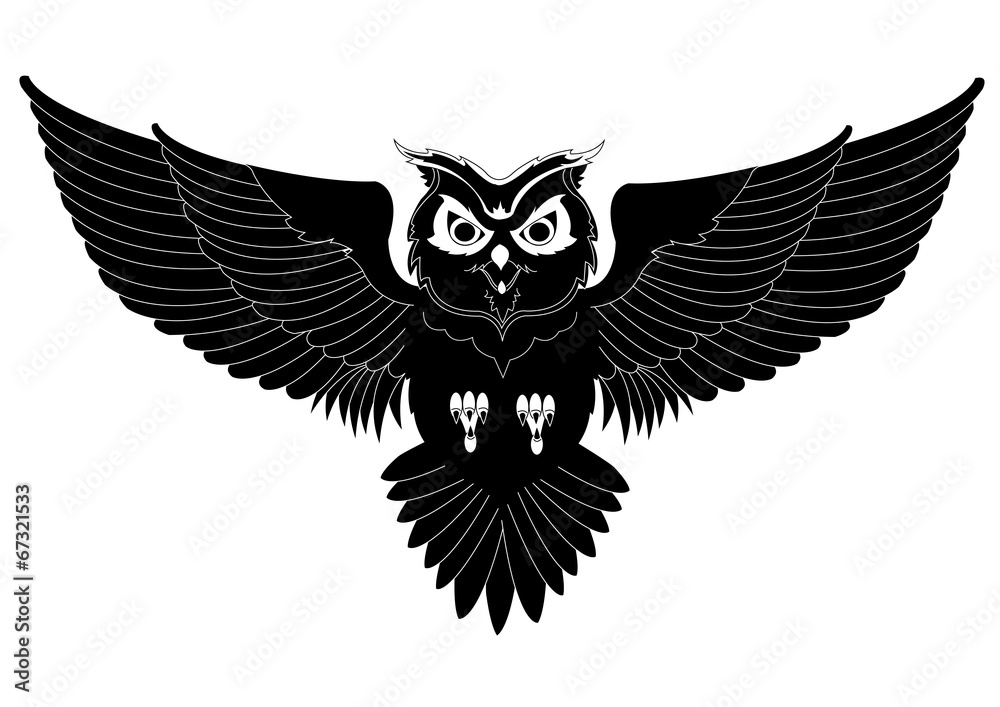 Owl tattoo Owl tattoo
