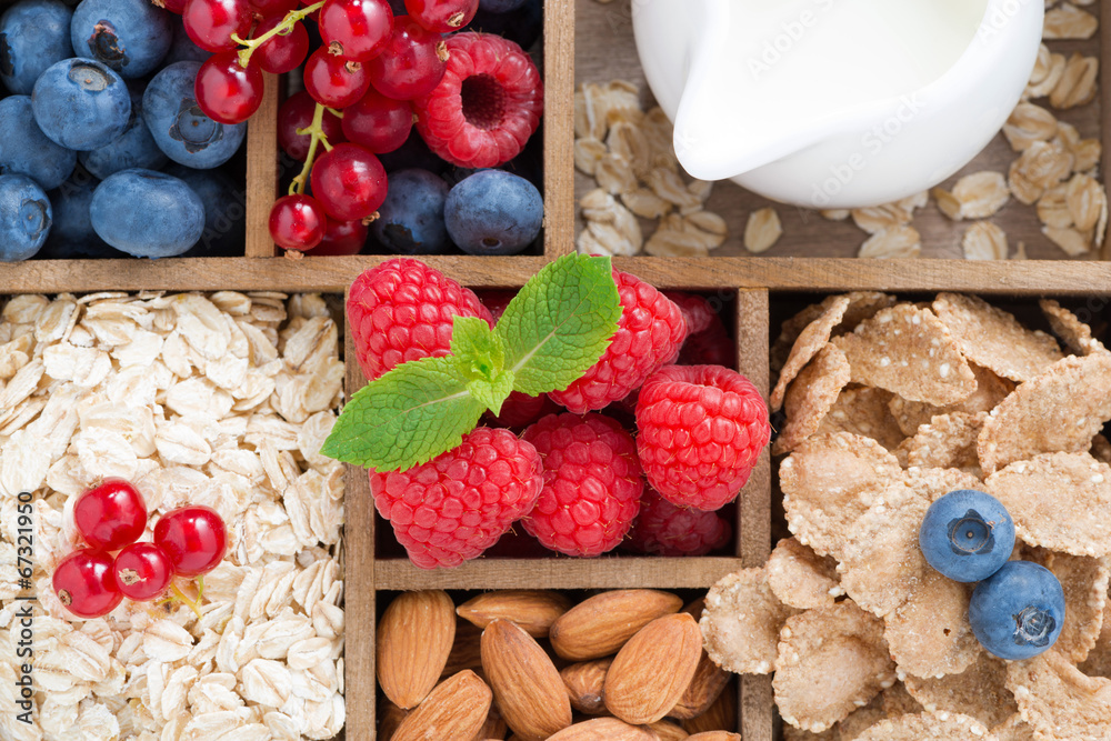 foods for breakfast - oatmeal, granola, nuts, berry and milk foods for breakfast - oatmeal, granola, nuts, berry and milk