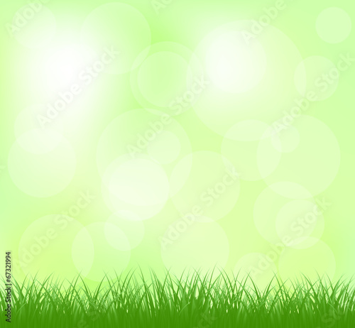 Natural light green grass background