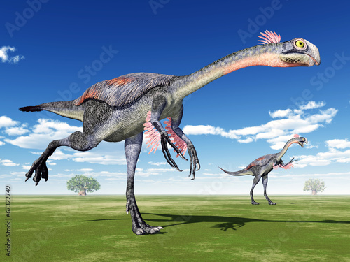 Fototapeta Naklejka Na Ścianę i Meble -  Dinosaur Gigantoraptor