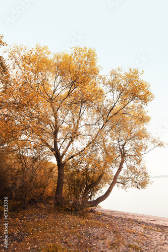 autumn park landscape © Aliaksei