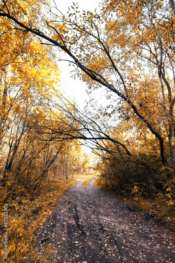 Obraz premium autumnal melancholy