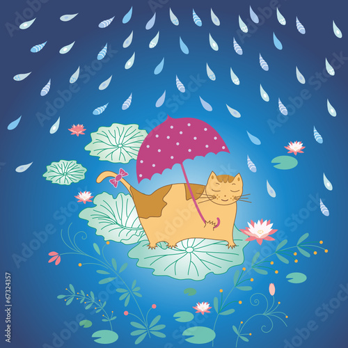 lotus and cat in rain