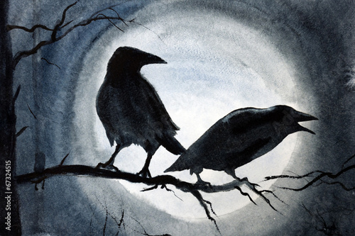 two black crows on a branch