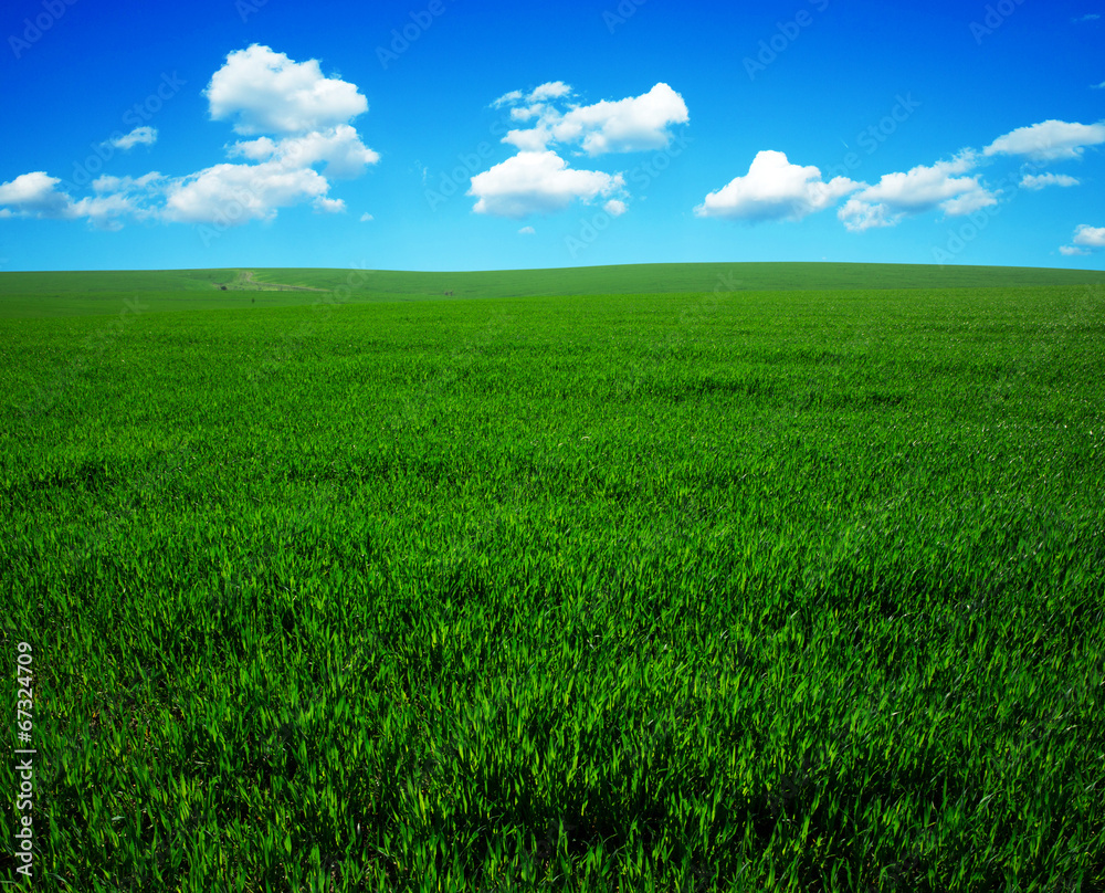 green field