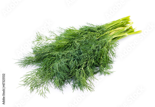 dill isolated on white