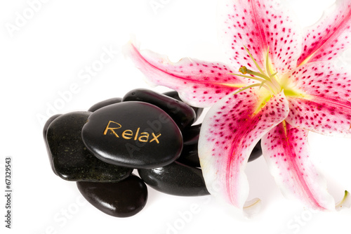 Canvas Print zen spa stones on white background